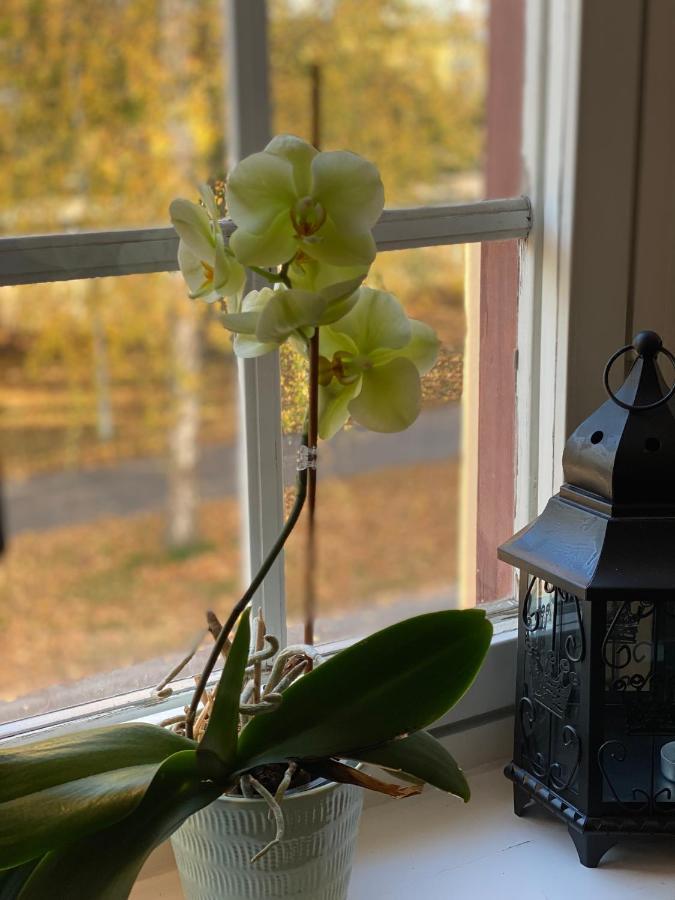 Ting1903 Bed & Breakfast Авеста Екстериор снимка